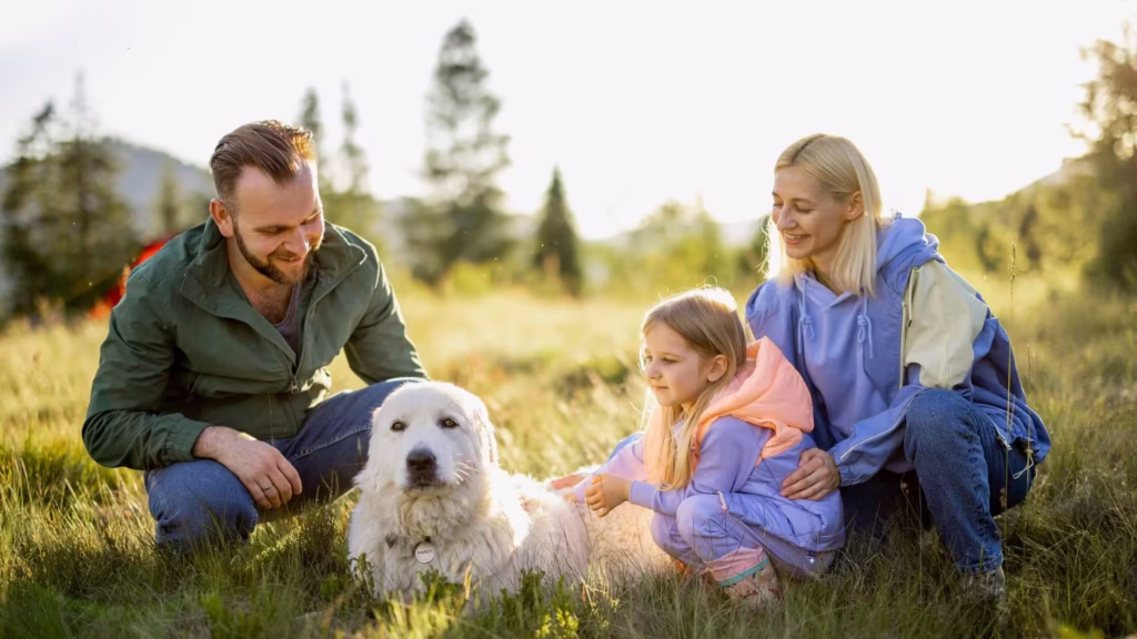 perfekter_urlaub_mit_hund