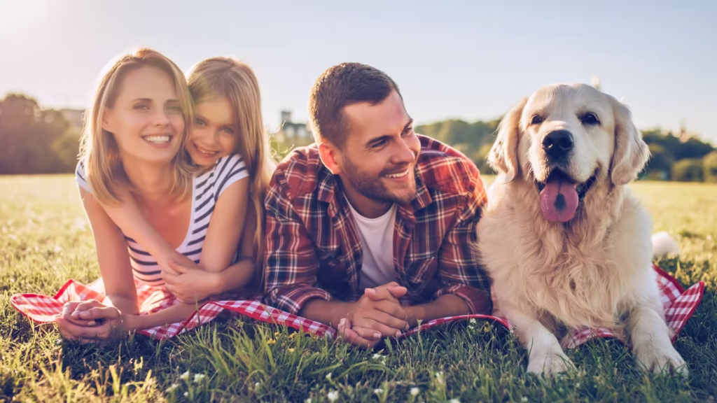 Hunde_OP_Versicherung_2025_Testsieger